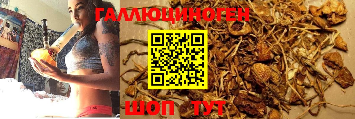 Ковров  Галлюциногенные грибы Magic Shrooms  Вход с VPN  Псилоцибиновые грибы Psilocybine cubensis 